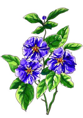  dalların çiçeklenme ile mor çiçekler 