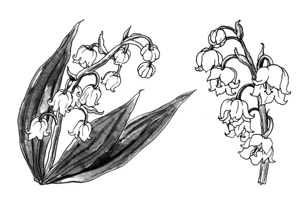 Белая лилия из цветов долины — стоковое фото