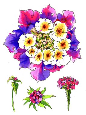 Pembe mor lantana camara Güney tropik çiçekler