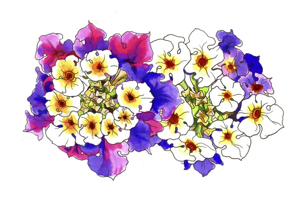 Różowy fioletowy lantana camara Południowej tropikalne kwiaty — Zdjęcie stockowe