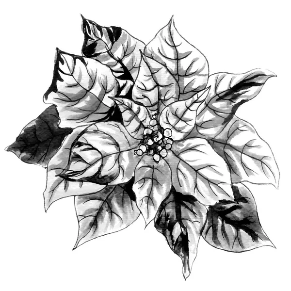 Zwart-wit bloem met bladeren — Stockfoto