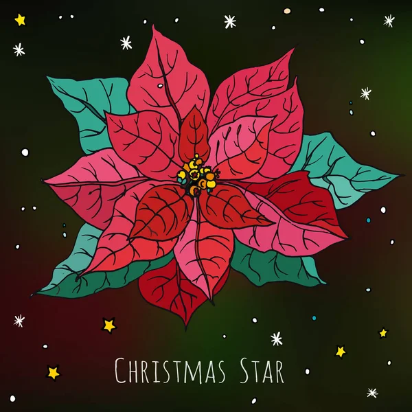 Christmas Star. Red flower with green leaves — Stock Vector