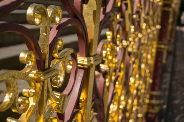 Gold plated gate — Stock Photo, Image