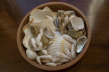 a bowl of sea shells clipart