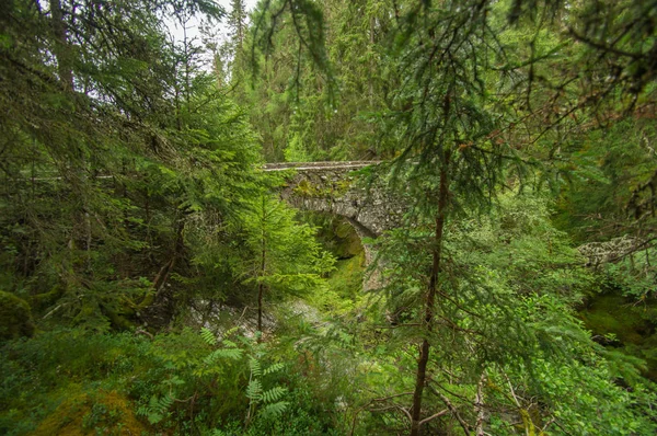 Pont sur les chutes de Bruar — Photo