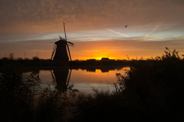 Windmills Water Sunset Kinderdijk Netherlands — Stock Photo, Image