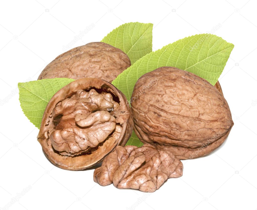 Walnut on white background.