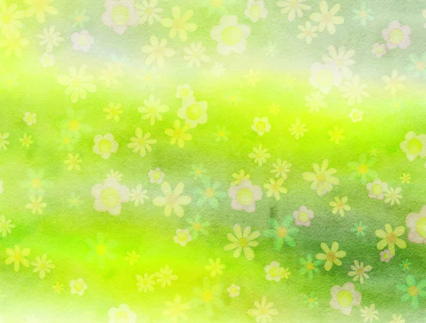 水彩花のフィールドの背景紙 — ストック写真