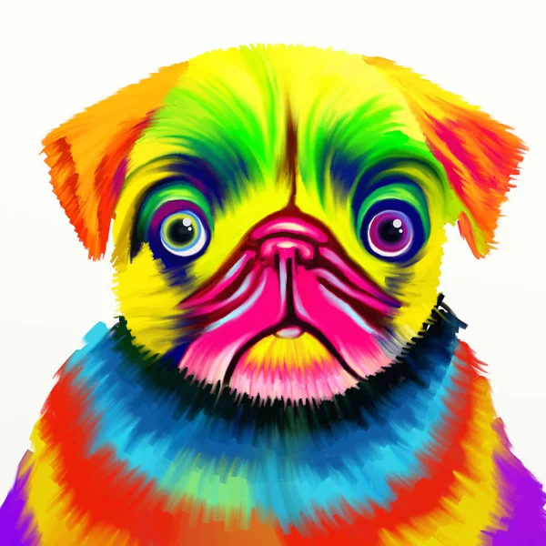 Kleurrijk Pug Portret — Stockfoto