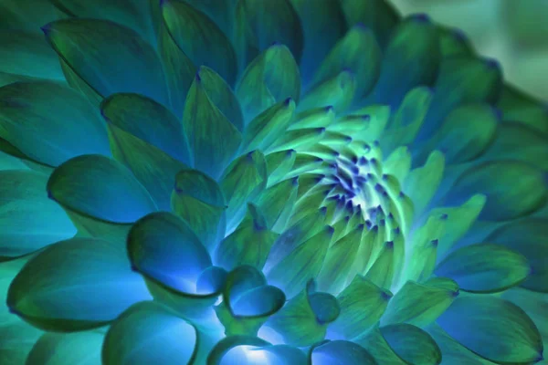 Psychedelic blue flower abstract