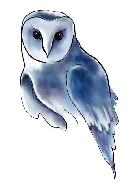 Güzel, gece, vahşi baykuş