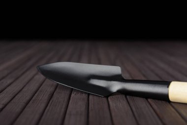 Ahşap bir masa üzerinde bir küçük kürek