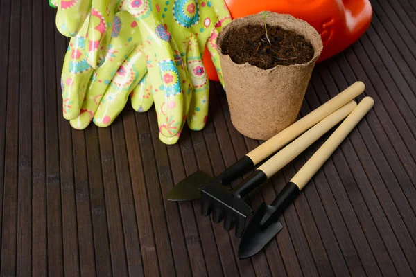 Garden tools and a peat pot with seedlings — Stock Photo, Image
