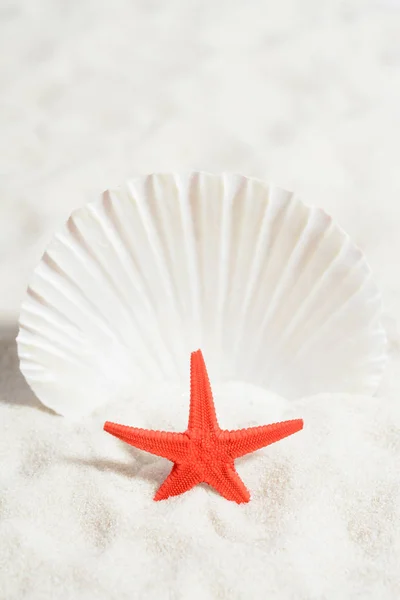 Red starfish on white sand beach — Stock Photo, Image