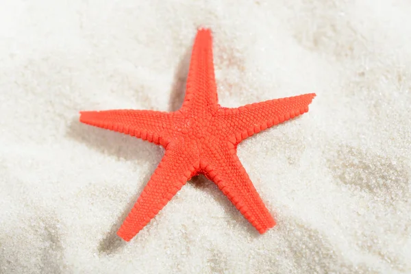 Red starfish on white sand beach — Stock Photo, Image