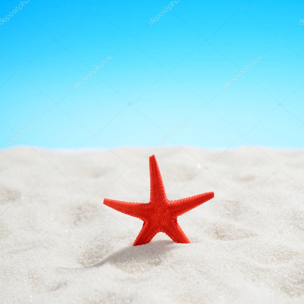Red starfish on the beach on background of blue sky