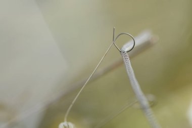 Sarmal filaman ampul filaman yakın çekim