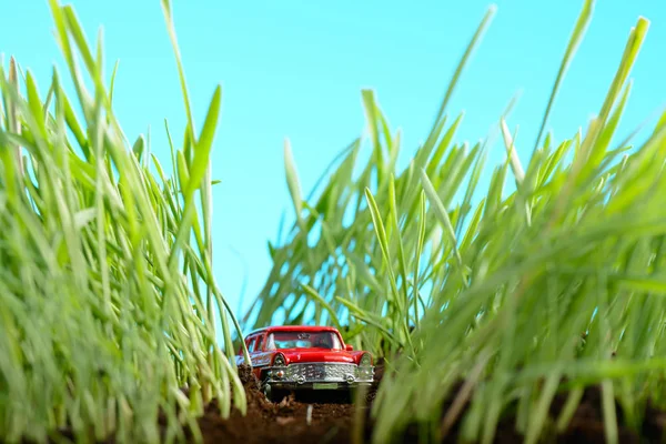 Red vintage car model among green grass — Stock Photo, Image