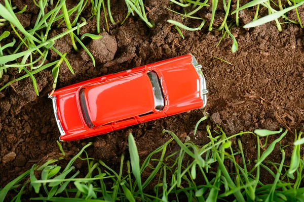 Red vintage car model among green grass