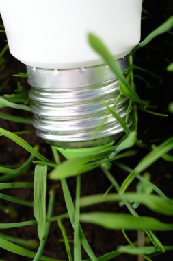 Yeşil çimenlerin üzerinde ampul led