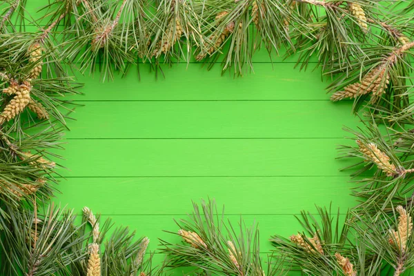 Větvičky borovice v podobě rámu na zelené dřevěné pozadí — Stock fotografie