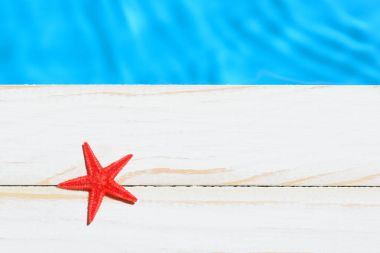 Sea star su üstünde ahşap tahta üzerinde