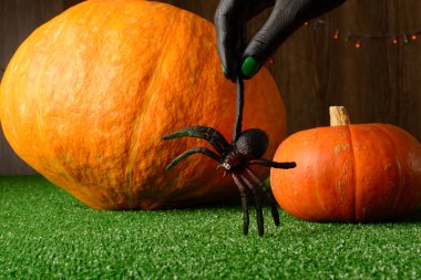 Oyuncak örümcek kabaklar karşı tutan el