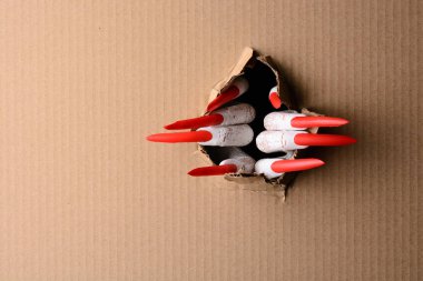 Karton keskin pençeleri ile aracılığıyla yırtılma vampir