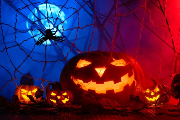 Korkunç Halloween pumpkins web ve dolunay siste arka planda