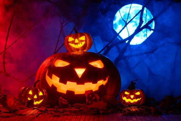 Przerażające Halloween dynie na tle oddziałów i pełnia księżyca we mgle — Zdjęcie stockowe