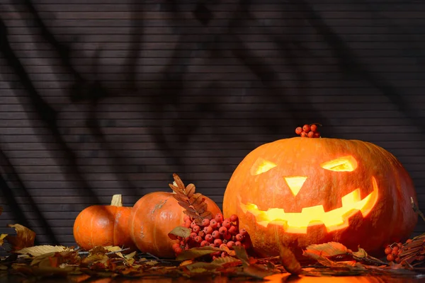 Halloween pompoen met enge gloeiend gezicht en twee kleine pompoenen onder de gele bladeren — Stockfoto