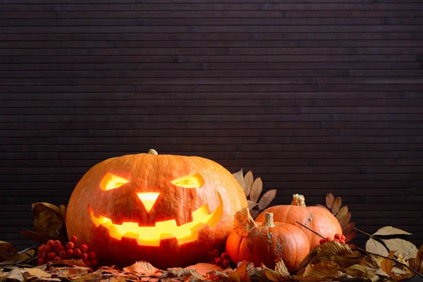 Halloween pompoen met enge gloeiend gezicht en twee kleine pompoenen onder de gele bladeren — Stockfoto