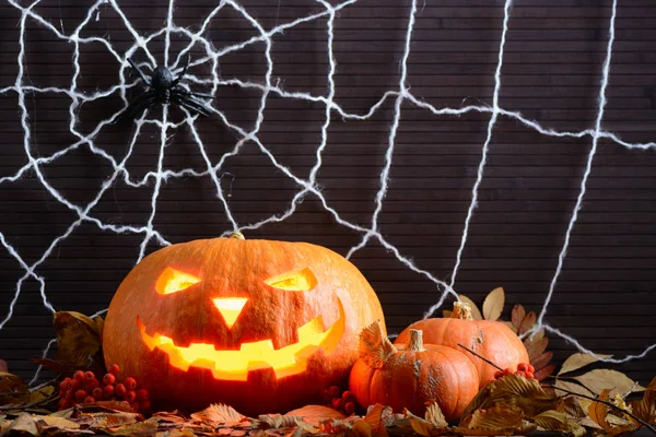 Cadılar Bayramı Balkabağı sarı arasında korkunç parlayan yüzü ile web arka plan üzerinde bırakır