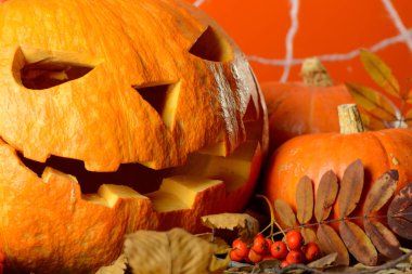 Korkunç Cadılar Bayramı Balkabağı ve sarı yaprakları turuncu duvar web arka plan üzerinde