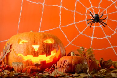 Parlayan Halloween kabak ve siyah örümcek arasında sarı turuncu duvar web arka plan üzerinde bırakır