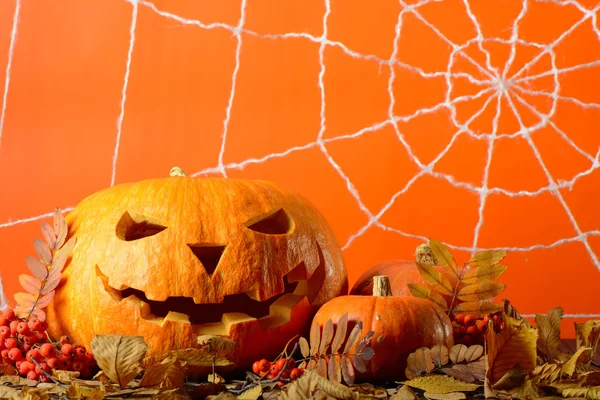 Korkunç Cadılar Bayramı Balkabağı ve sarı yaprakları turuncu duvar web arka plan üzerinde