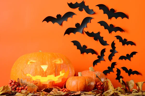 Gloeiende Halloween pompoenen en vleermuizen uit papier onder de gele bladeren tegen een oranje muur — Stockfoto