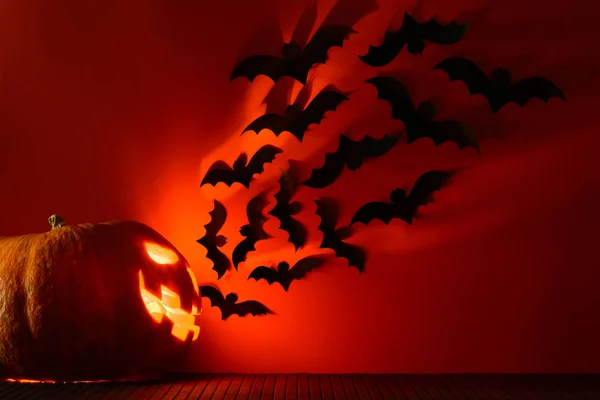 Netopýři létají z jeho úst Halloween dýně — Stock fotografie