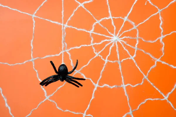 Schwarze Spinne und Netz auf orangefarbenem Hintergrund — Stockfoto