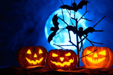 Üç Halloween pumpkins ve yarasalar bir ağaçta sis dolunay