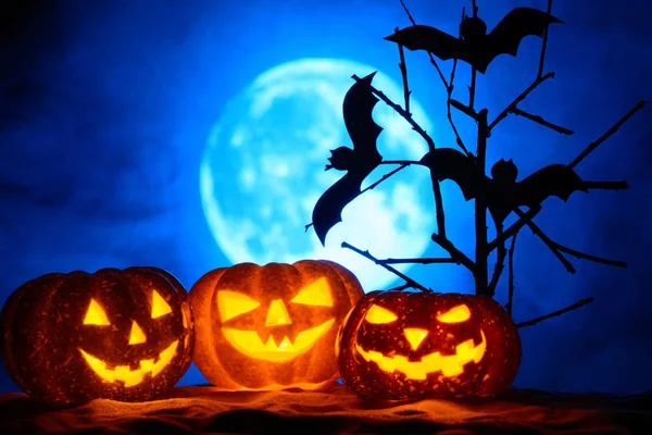 Tre zucche e pipistrelli di Halloween su un albero, la luna piena nella nebbia — Foto Stock