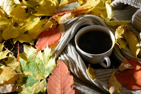 Fincan kahve, bir kazak ve sarı penceresinden güneş tarafından aydınlatılmış bırakır