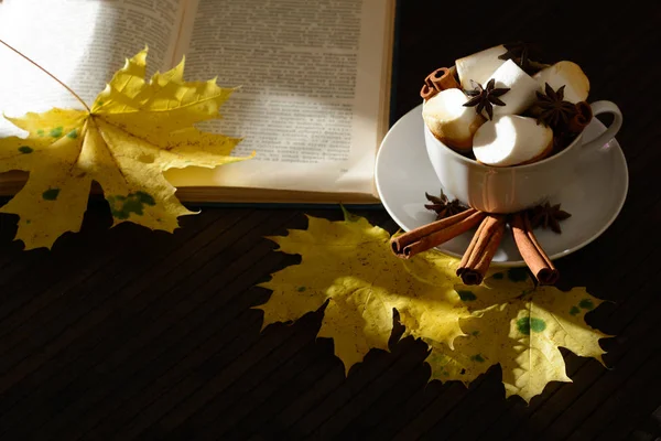 마쉬 멜 로우, 책, 및 창에서 햇빛에 의해 조명 하는 단풍과 함께 커피 한잔. 격 조 — 스톡 사진