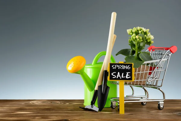 Étiquette de vente de printemps sur outils de jardinage — Photo