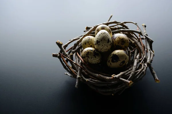 Velikonoční pozadí. Křepelčí vejce v hnízdě z větviček na černém pozadí — Stock fotografie