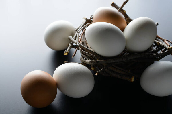 White and brown eggs in a nest from branches on black background