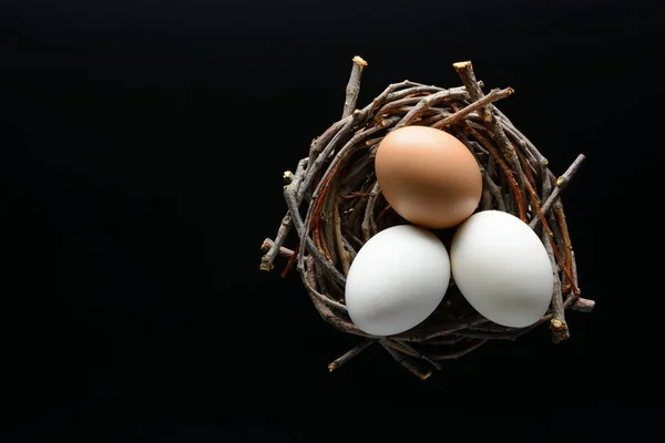 Antecedentes. Ovos brancos e marrons em um ninho de ramos no fundo preto — Fotografia de Stock