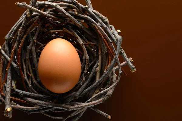 Fondo de Pascua. Huevo de gallina marrón en el nido de ramitas —  Fotos de Stock