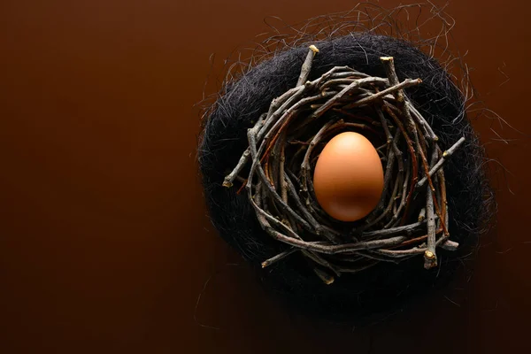 Fondo de Pascua. Huevo de gallina marrón en el nido de ramitas —  Fotos de Stock