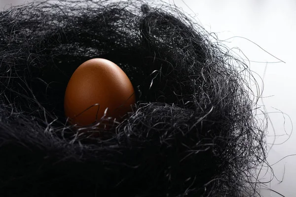 Fondo de Pascua. Huevo de gallina marrón en el nido de sisal —  Fotos de Stock